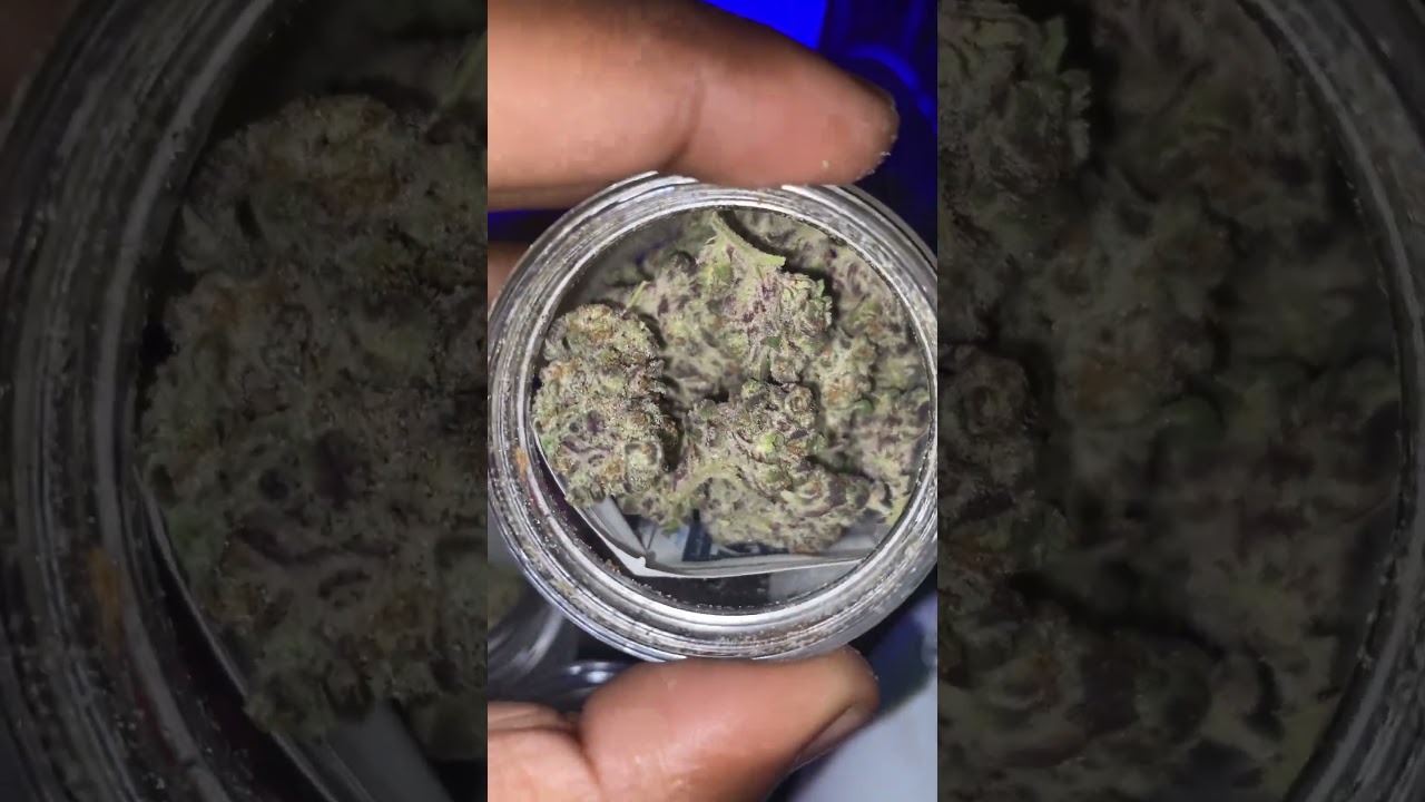 HMP.STORE. DANTE&rsquo;s INFERNO LOOKS  and SMELL 8 out of 10. SMOKE 7(High Tolerance)