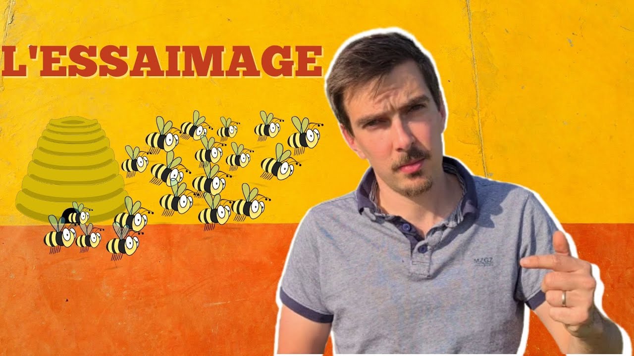 Comment éviter l'essaimage: 3 méthodes efficaces