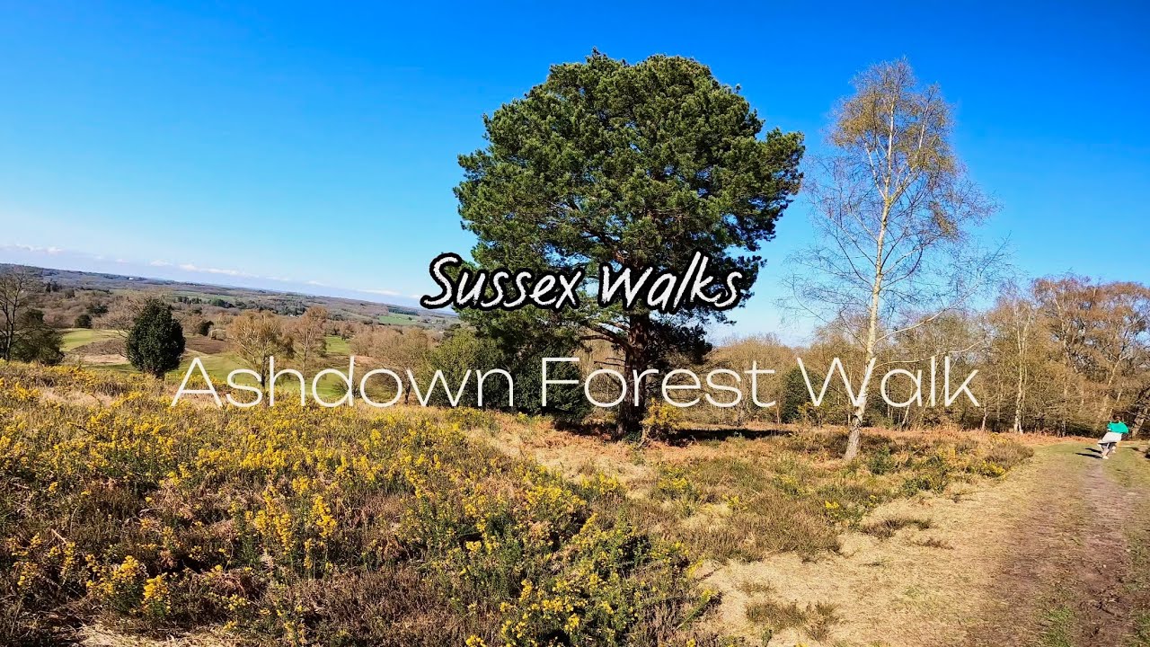 England 🏴󠁧󠁢󠁥󠁮󠁧󠁿: Sussex Walks | Ashdown Forest