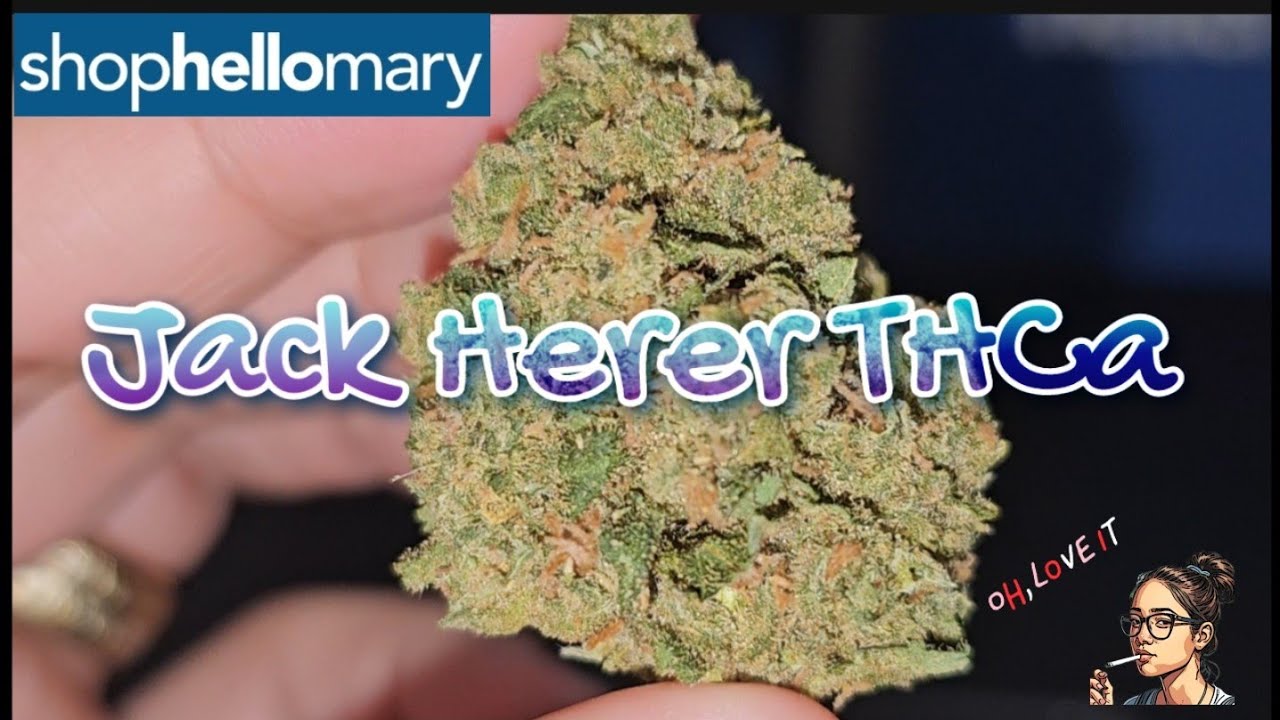 Jack Herer | ShopHelloMary
