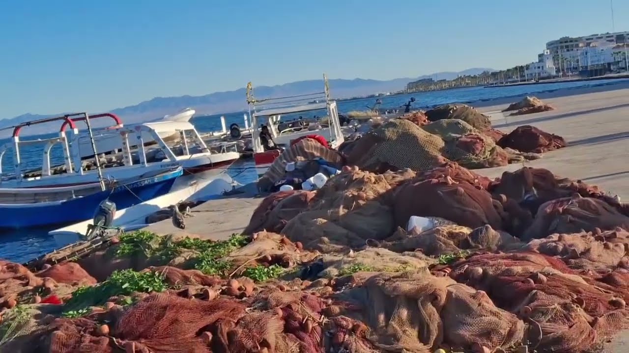 🔥😱شابكه مع المسطيج وسعاد تقصف ولاتبالي وسميره مصدومه 😲