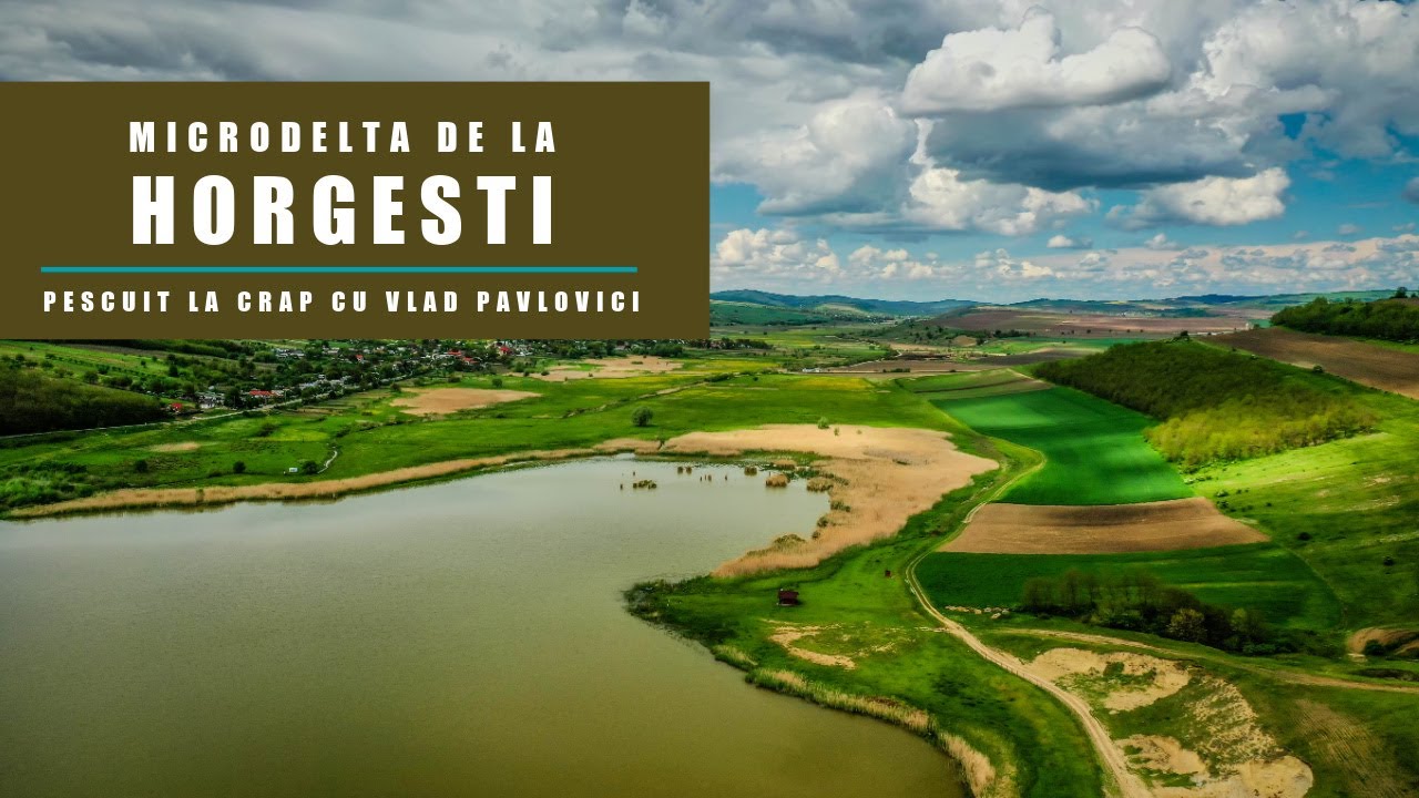 Microdelta de la Horgesti