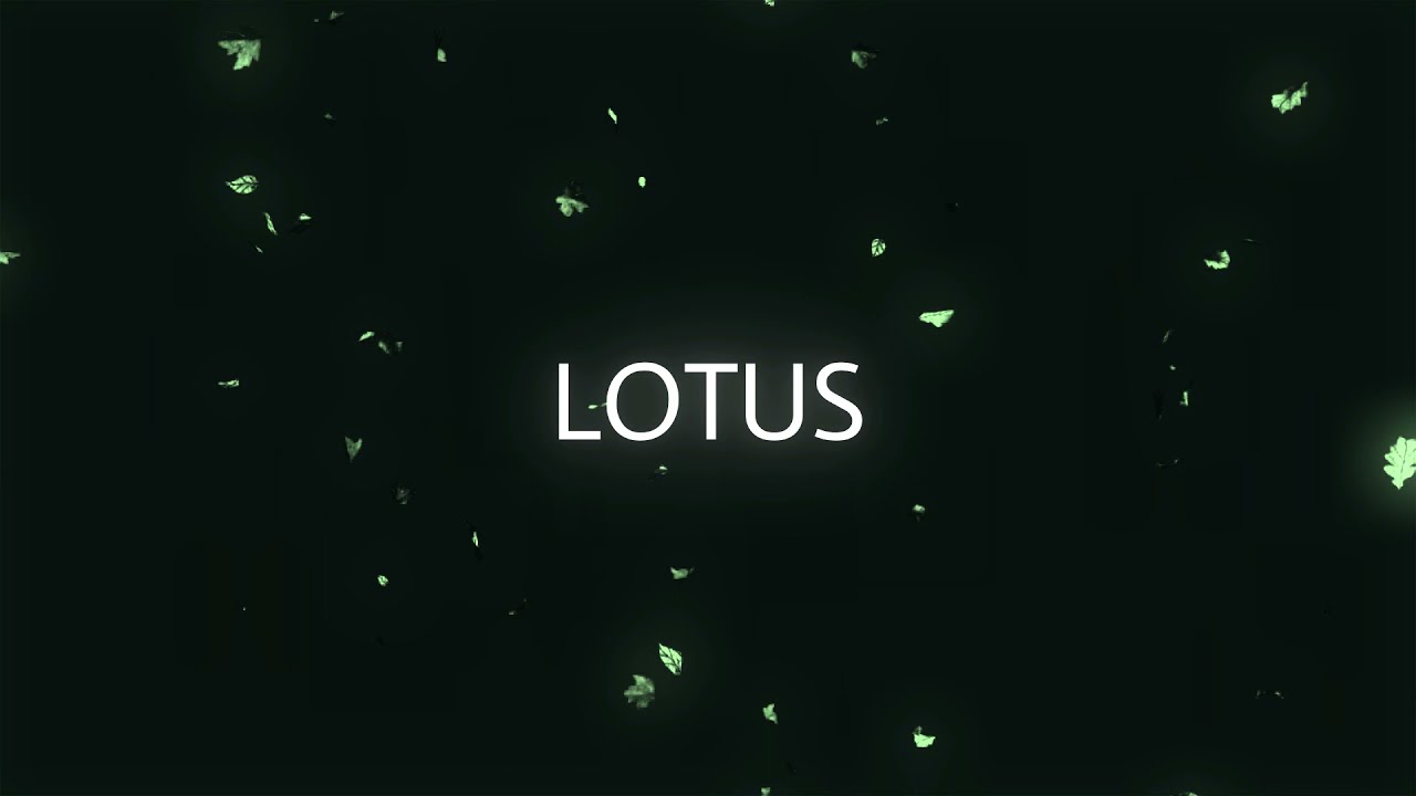 Dan - Lotus
