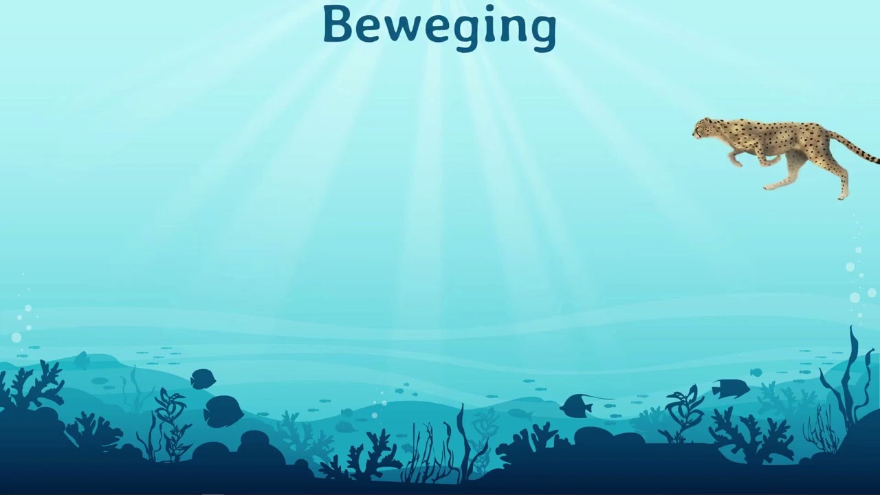 Graad 4 Natuurwetenskappe en Tegnologie
