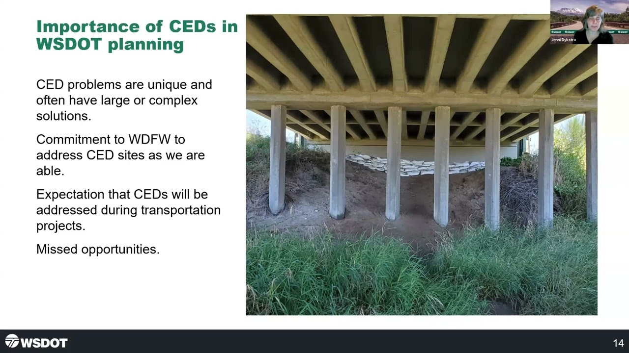 Roads and Resilience: Integrating State Transportation, Hazards, and Nature-Based Solutions