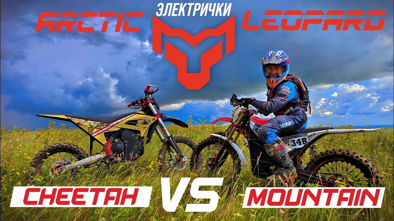 Arctic Leopard Cheetah VS Mountain, это не сравнение