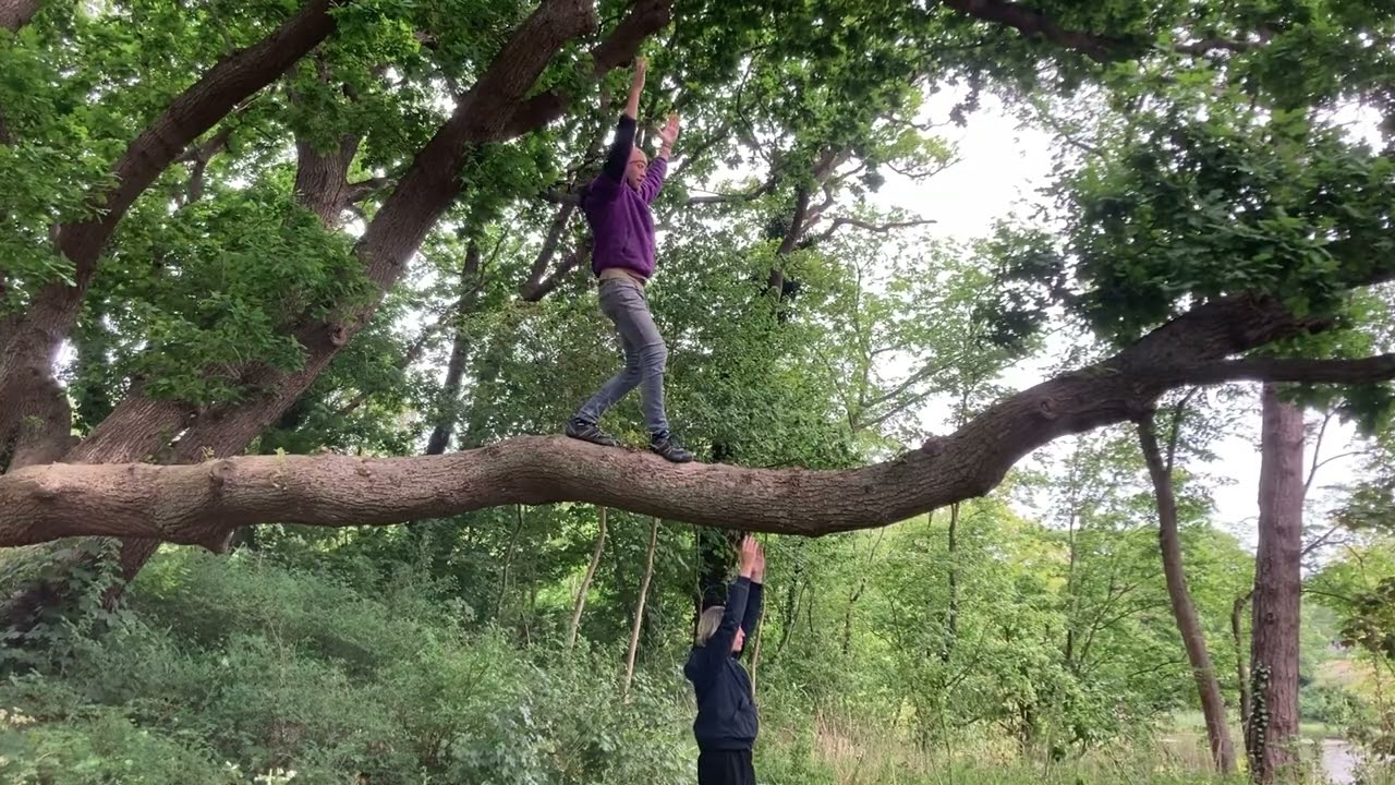 The Tree romance - Yvette Teeuwen & Ugo Tonneijck