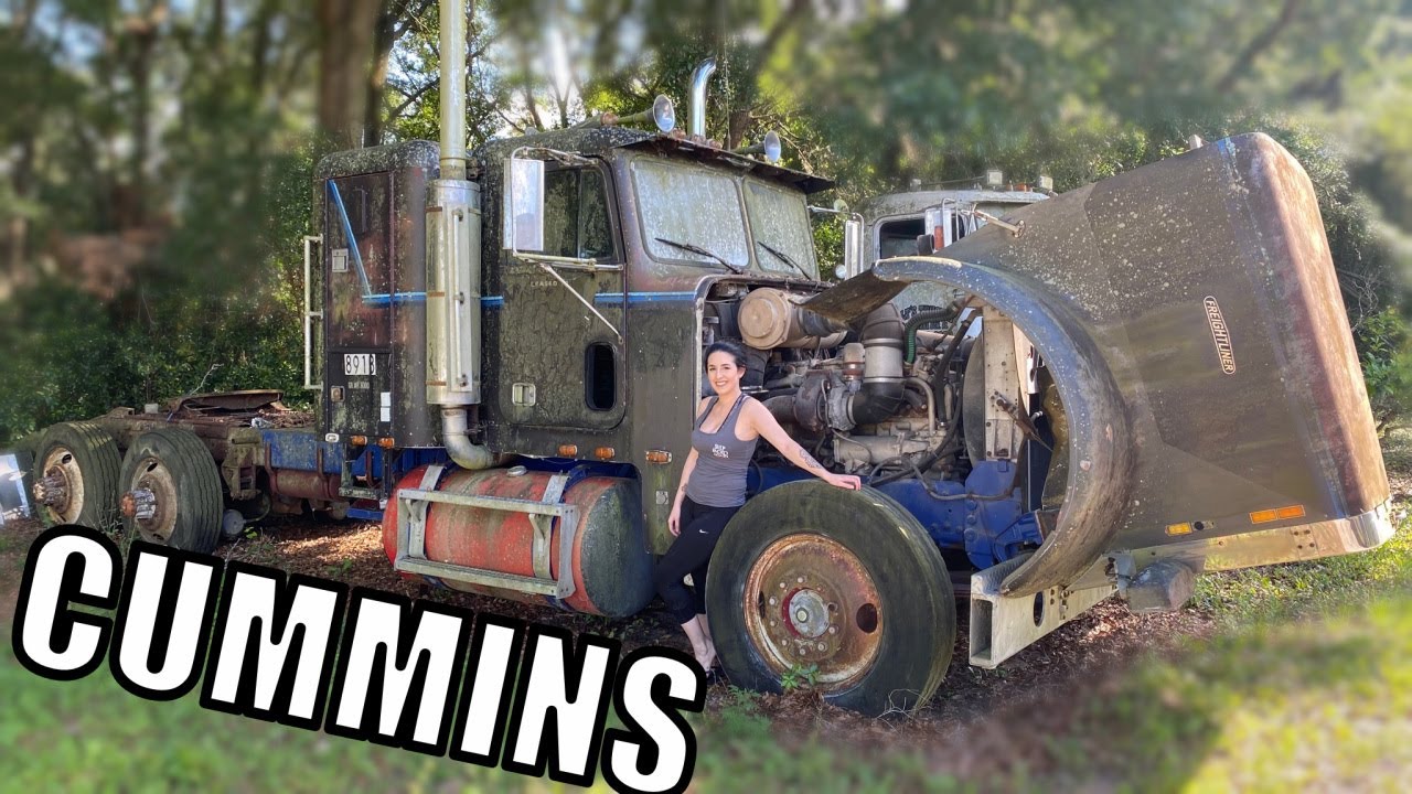 Заведётся ли он? Freightliner FLC 1980 года, простоял 15 лет.