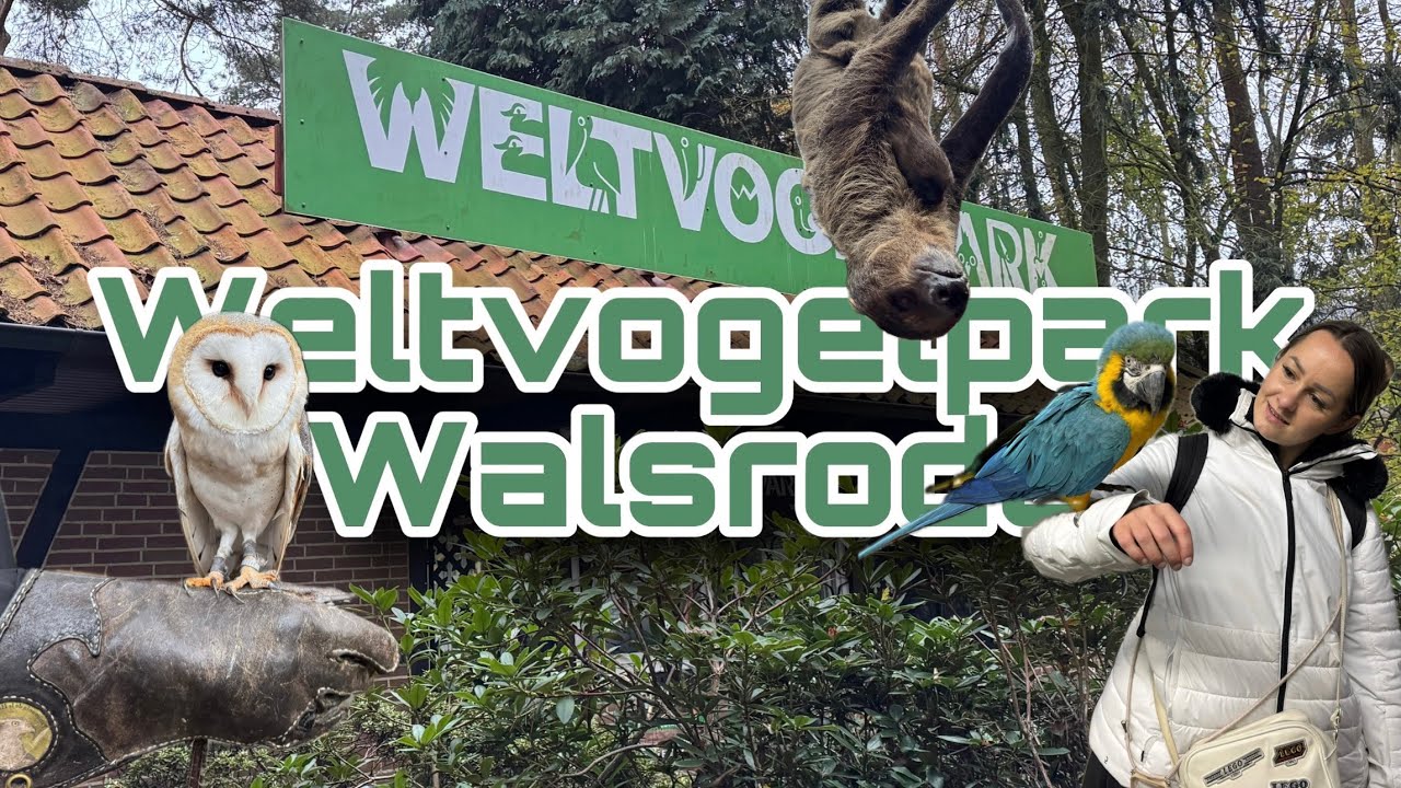 Der weltweit GRÖẞTE Vogelpark in Walsrode | inklusive Meet & Greet „best of“ - Lohnt sich das?