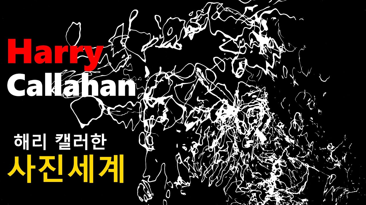 세계적인 사진가 26-해리 캘러한(Harry Callahan)의 사진세계-31
