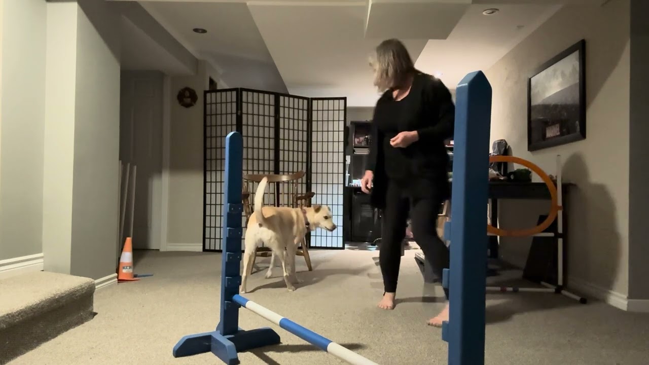 Vesta-your turn -add new behaviour 