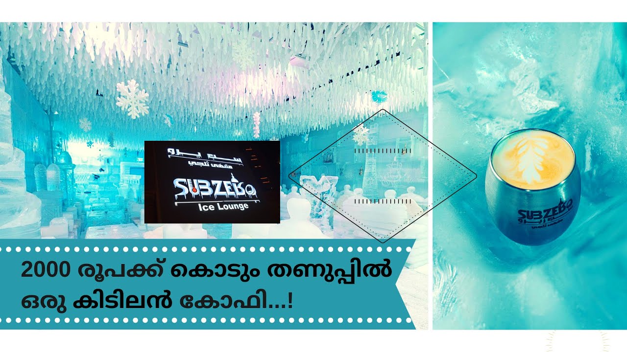 2000 രൂപക്ക് കിടിലൻ കോഫി! | Subzero Ice Lounge Qatar | By SN World | Epi:16