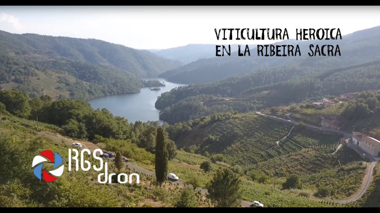 VITICULTURA HEROICA - Ribeira Sacra - Galicia (RGSDron)