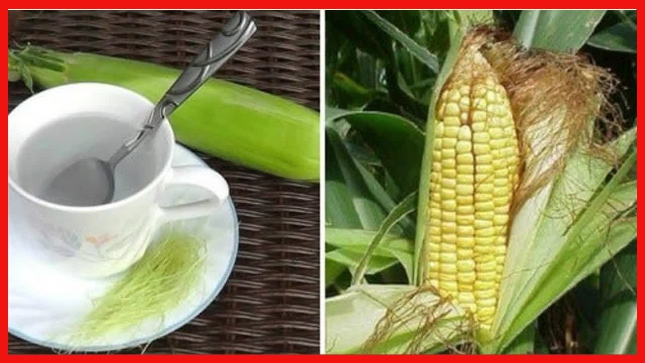 Maisbart: 9 vorz&uuml;gliche Wirkungen
