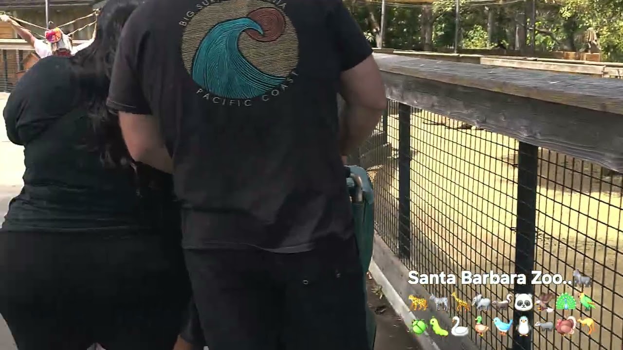 Beautifull Zoo  in California