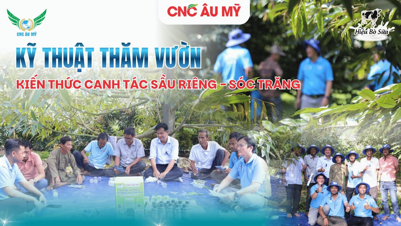 CNC ÂU MỸ | KỸ THUẬT CHĂM VƯỜN SẦU RIÊNG THỰC TẾ TẠI SÓC TRĂNG - TIẾN SĨ TRẦN HỮU PHÚC