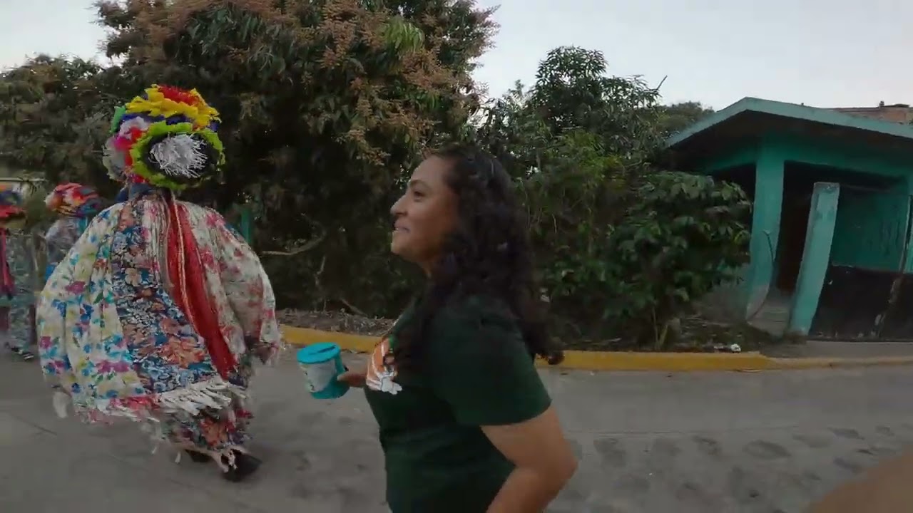 carnavales afromestizos