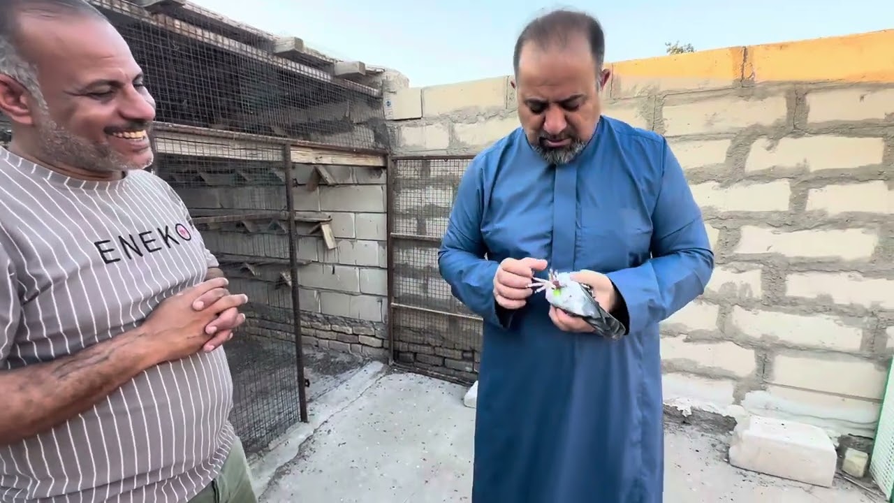 سهيل المبارك واياد جبوري تكلم عن سباقات الطويله وعن سباقات محافظه الموصل