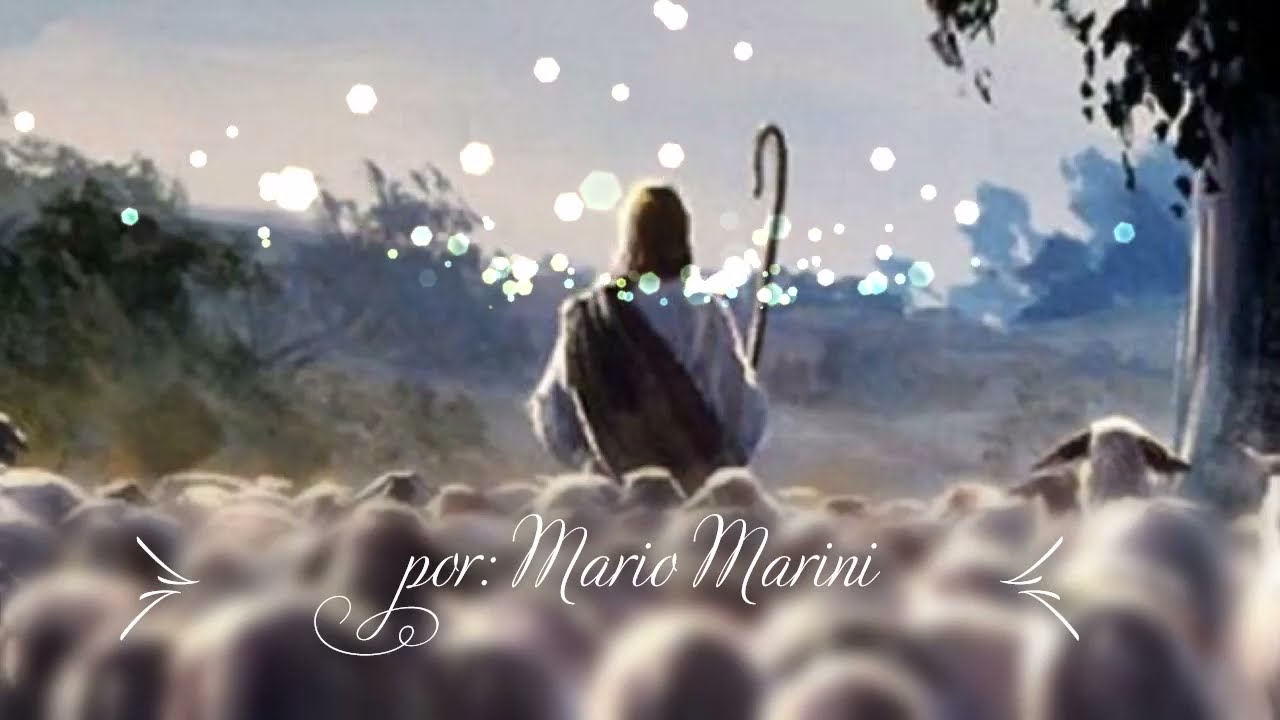 ¡Eran 100 ovejas!  de:  Juan Romero  por:  Mario Marini  