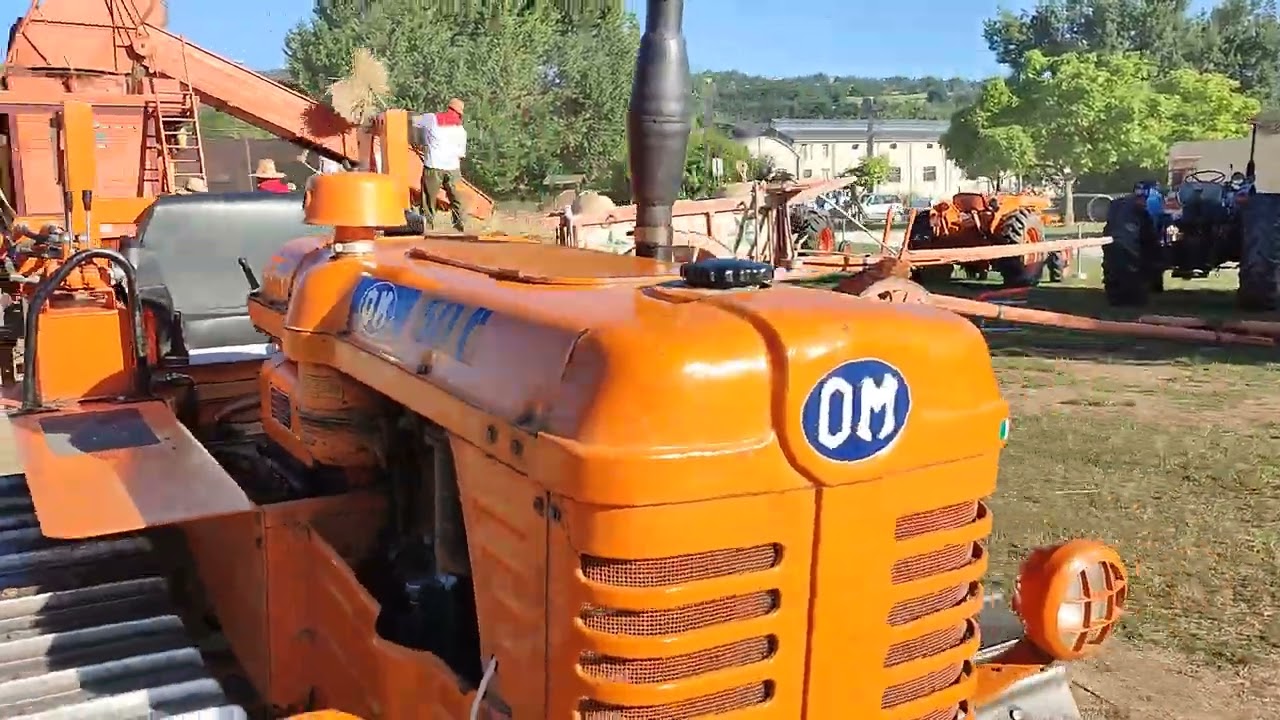 BATTITURA  BRANCA  11 AGOSTO 2023  DALL'AMICO STEFANO  TRATTORE  OM  TREBBIA RECCHIONI