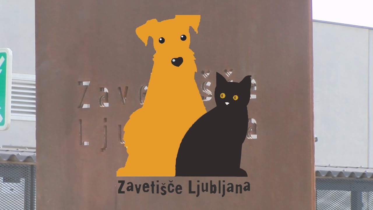 Zavetišče za zapuščene živali Ljubljana - Animal Shelter Ljubljana 5.3.2020