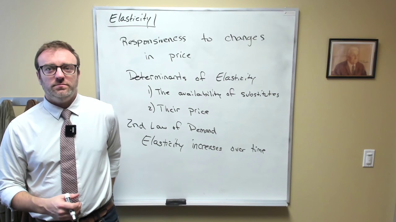 Health Economics 7: Elasticity