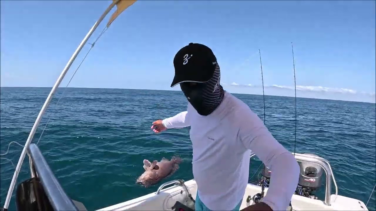 Fighting a Black Grouper....