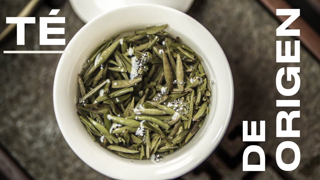 TÉ de ESPECIALIDAD VS TÉ COMERCIAL 🍵 (feat. PEI CHEN tea palace)