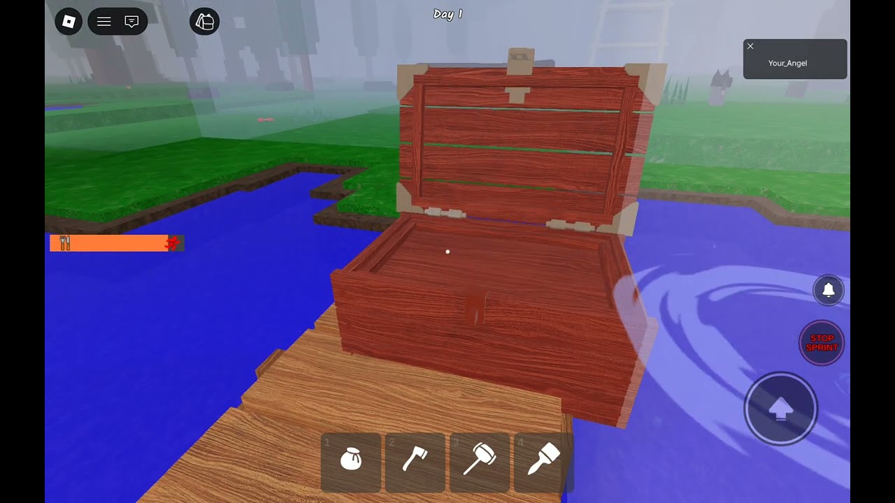 Playing Roblox and my friend keeps me company!