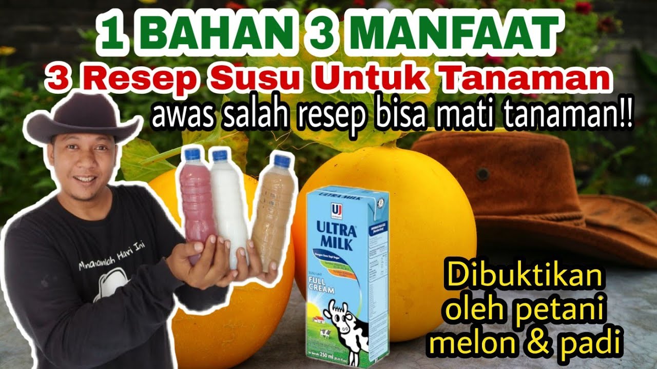 Modal Susu, jadi Pupuk, Fungisida dan Bakterisida