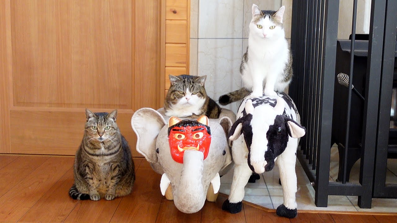 節分なねこ2025。-Cats and Setsubun 2025.-