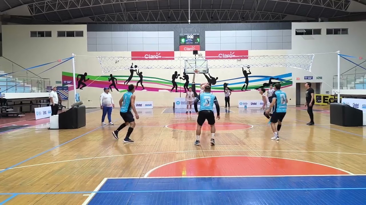 BRINCA BRINCA 🆚 LA PULGA 🤯FINAL DE INFARTO