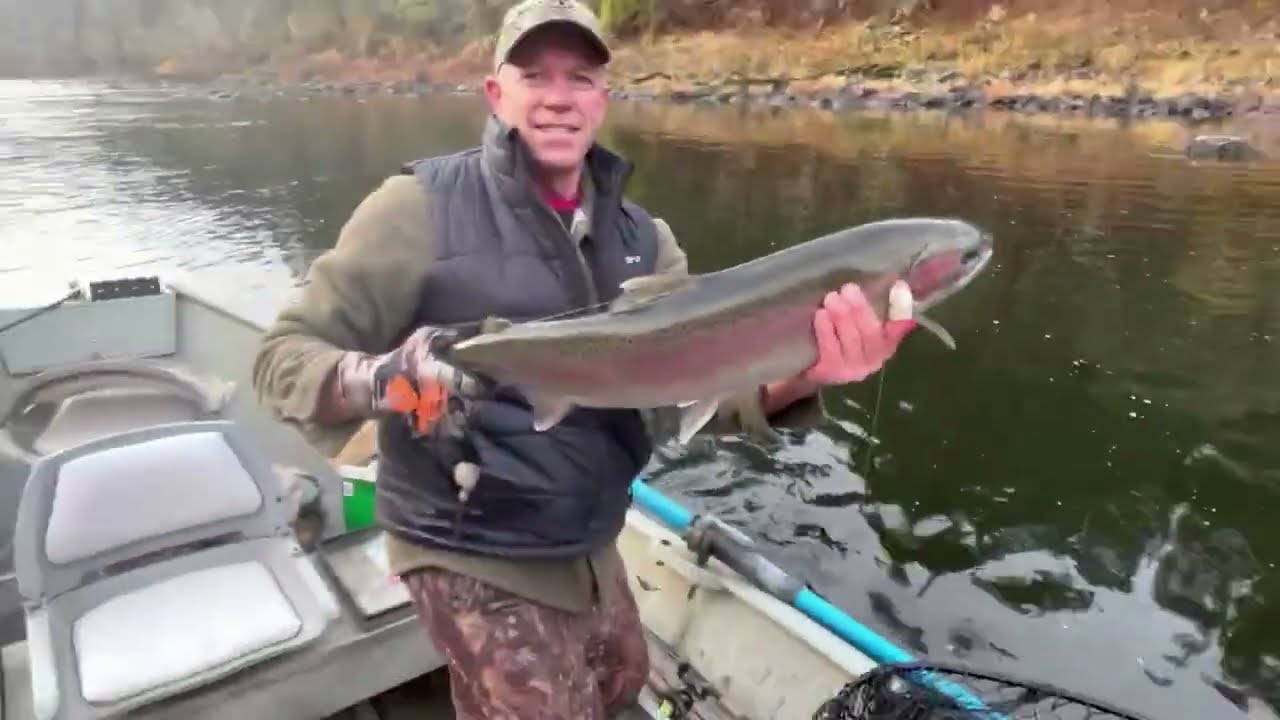 Clearwater Fall Steelhead