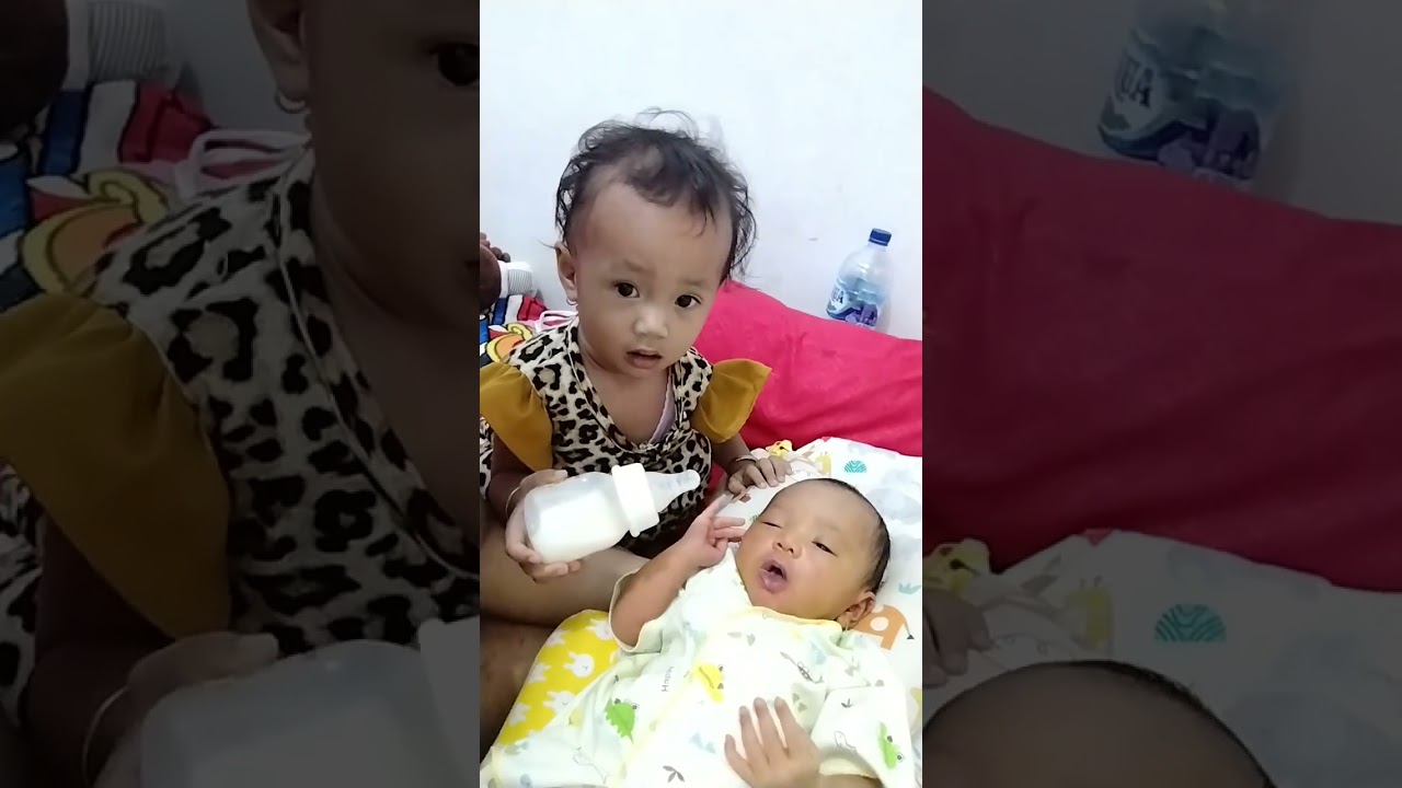 BALITA LUCU MOMONG BAYI ||KAKAK ALISHA UMUR 14BULAN PUNYA ADIK BARU UMUR 1MINGGU||#bayilucu #anak