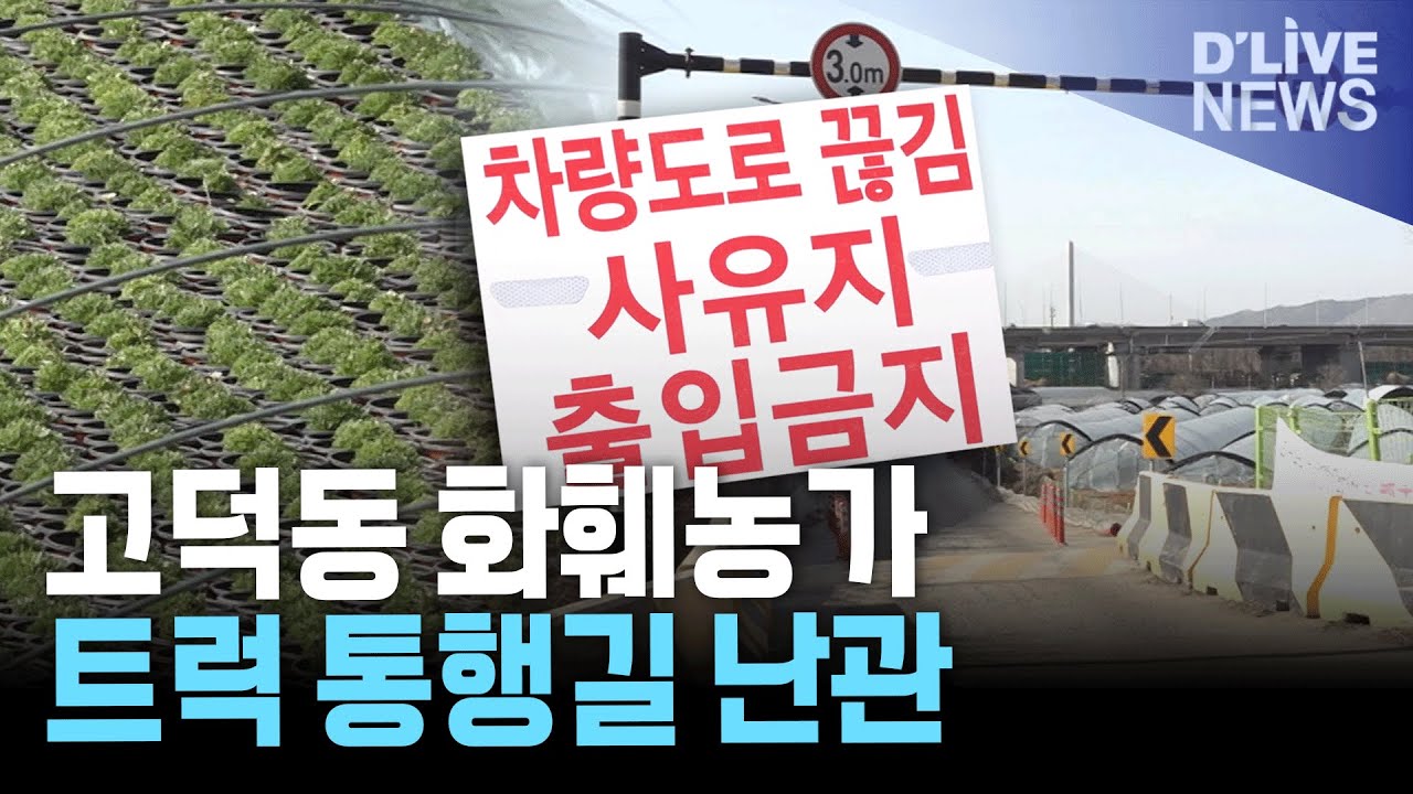 강동구 고덕동 화훼농가 진입로 차단 논란 대형 트럭 통행 막혀 농사 차질