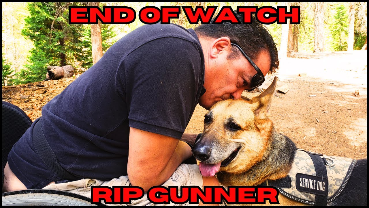 A Service Dog's Legacy Is MORE Than A Decade Of Loyalty And Love
