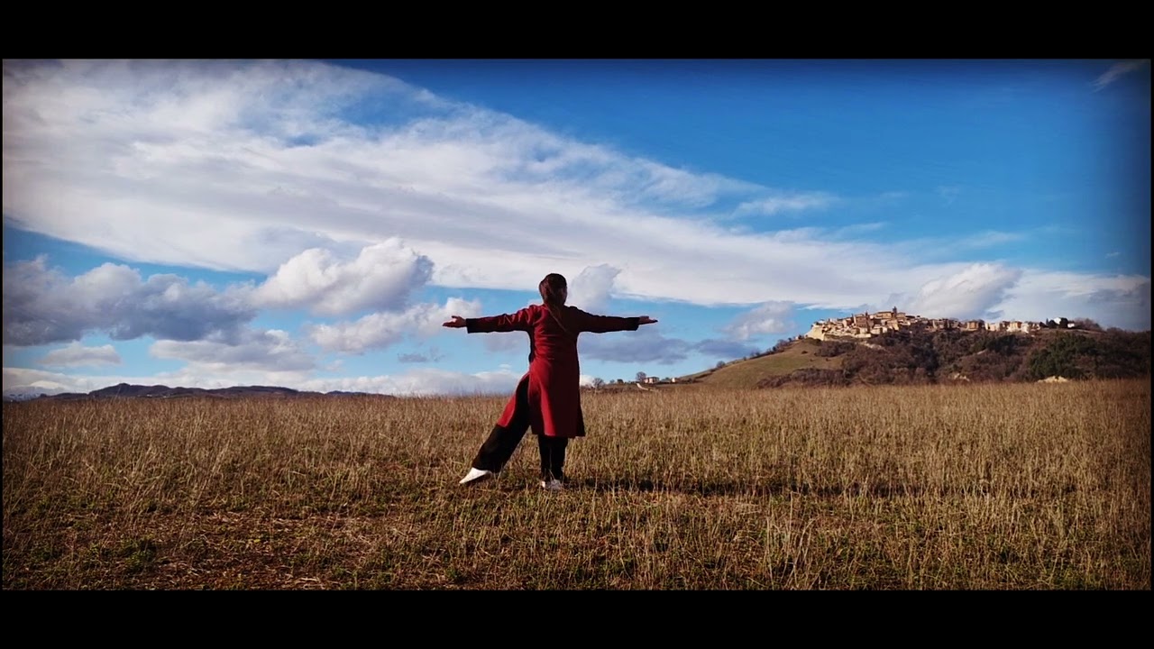 Wudang Tai chi 13