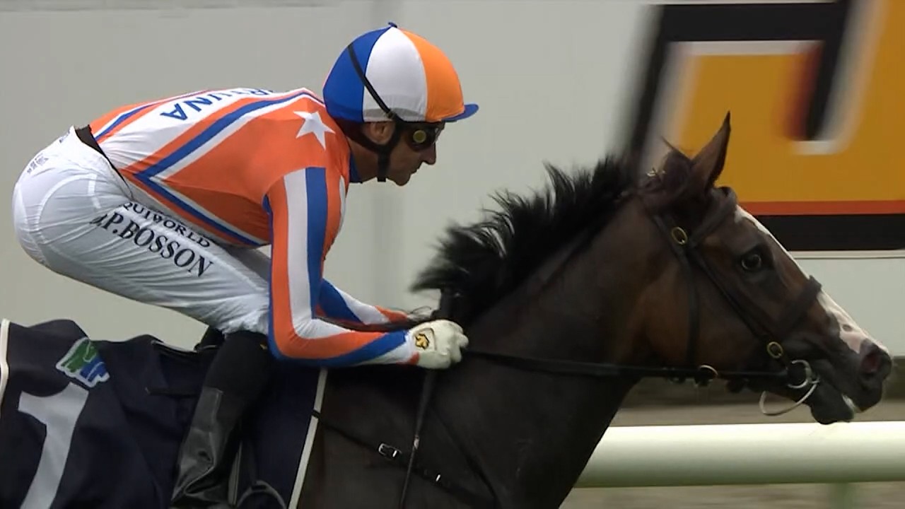 Gr.2 J Swap Contractors LTD Matamata Breeders' Stakes - Lara Antipova