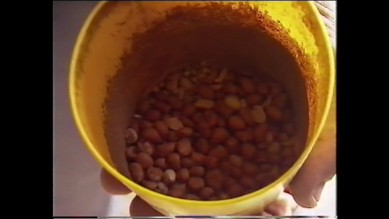 BRACIA ENGELS _ PUTTE BELGIA