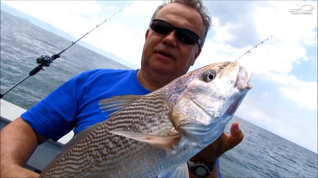 Pescaria em Alto Mar Corvina