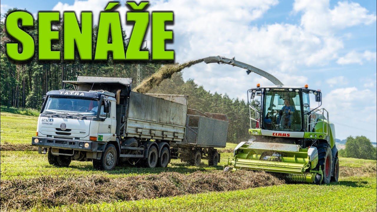 Sklizeň Jetele Claas Jaguar 860 + 3X Tatra Terrno + IFA HW 80