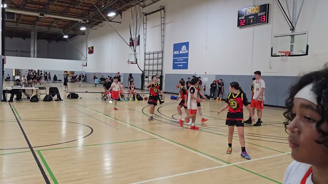 2/28/2026 -[AVAC Main Event]- 13U- BTI vs Pacific Elite