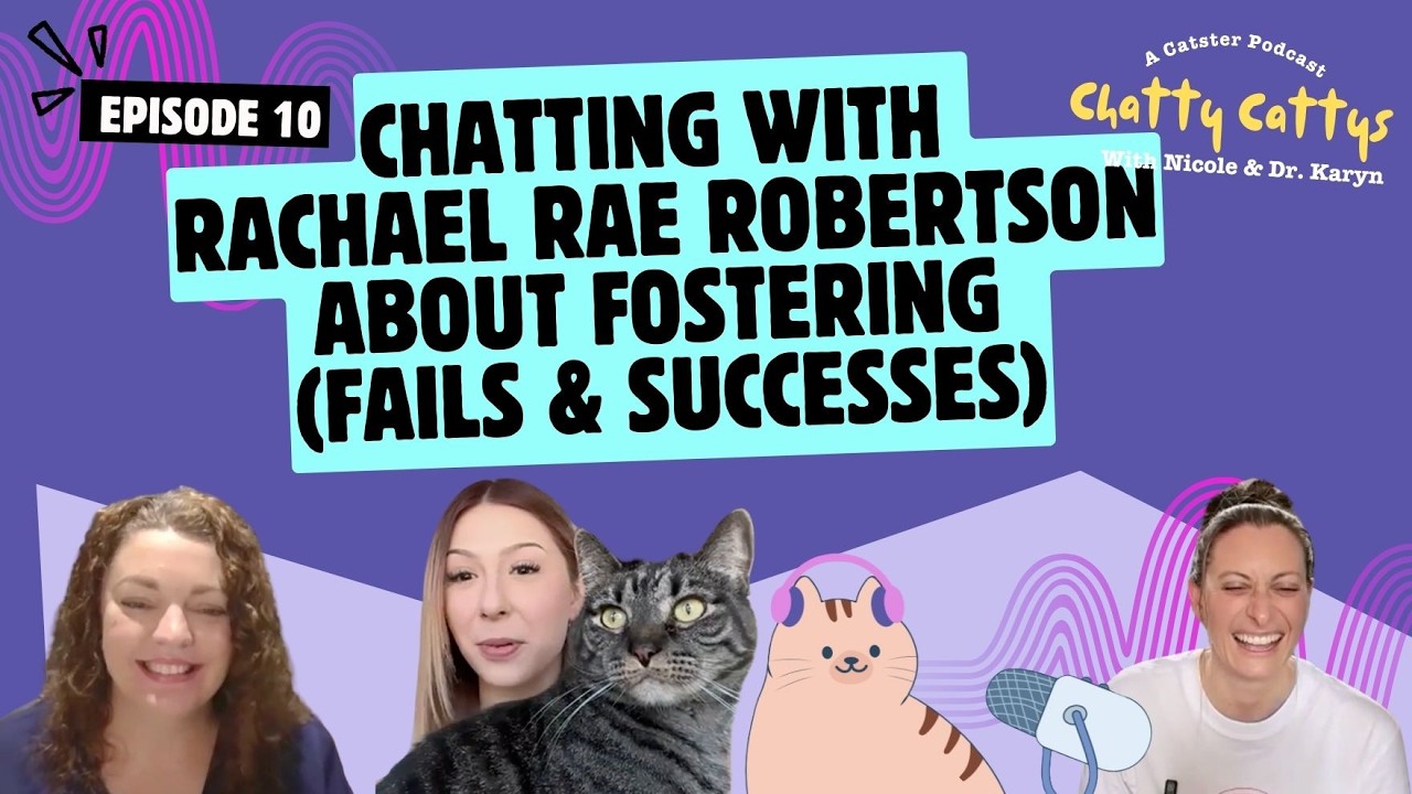 Chatting with Rachael Ray Robertson About Fostering (Fails & Successes) and Cat Care | Chatty Cattys