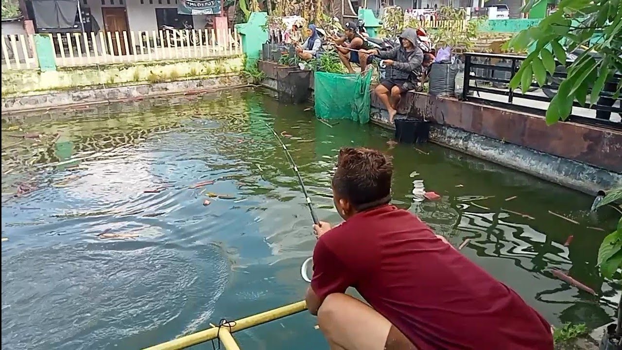 Ampun bang..‼️di ledek para senior..jadi gak fokus..