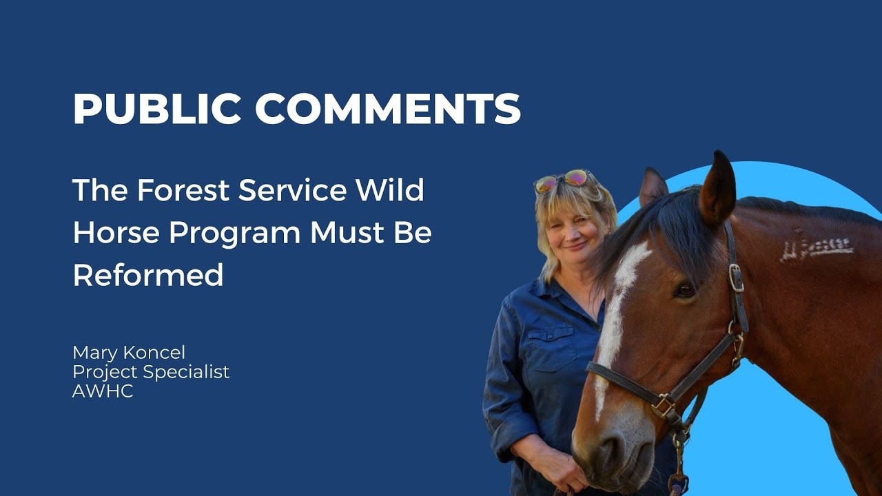 AWHC Program Specialist to BLM Wild Horse and Burro Advisory Board
