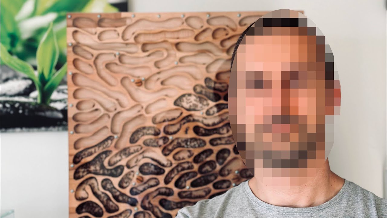 Face reveal & diapause update (videobomb at the end)