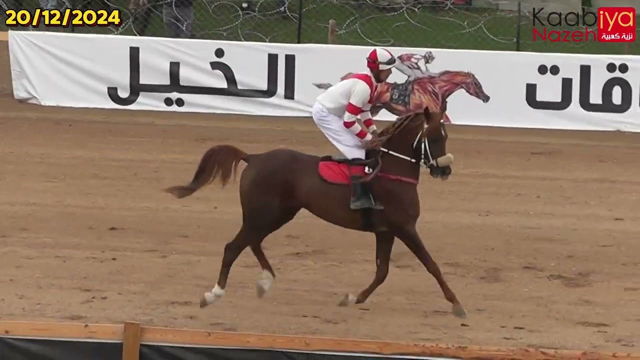 شوط أمهار مواليد 2021 جروب 2 سهم الوستون أنجم الحلاس برق الصخرة ميدان الاصايل اريحا 20/12/2024