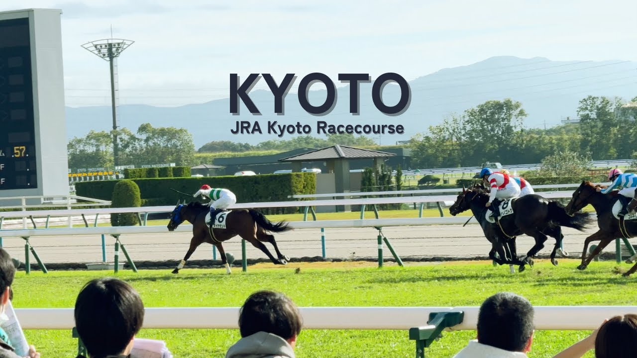 Rain or Shine: Family Fun at Kyoto Racecourse | Enjoy Horse Racing in Japan