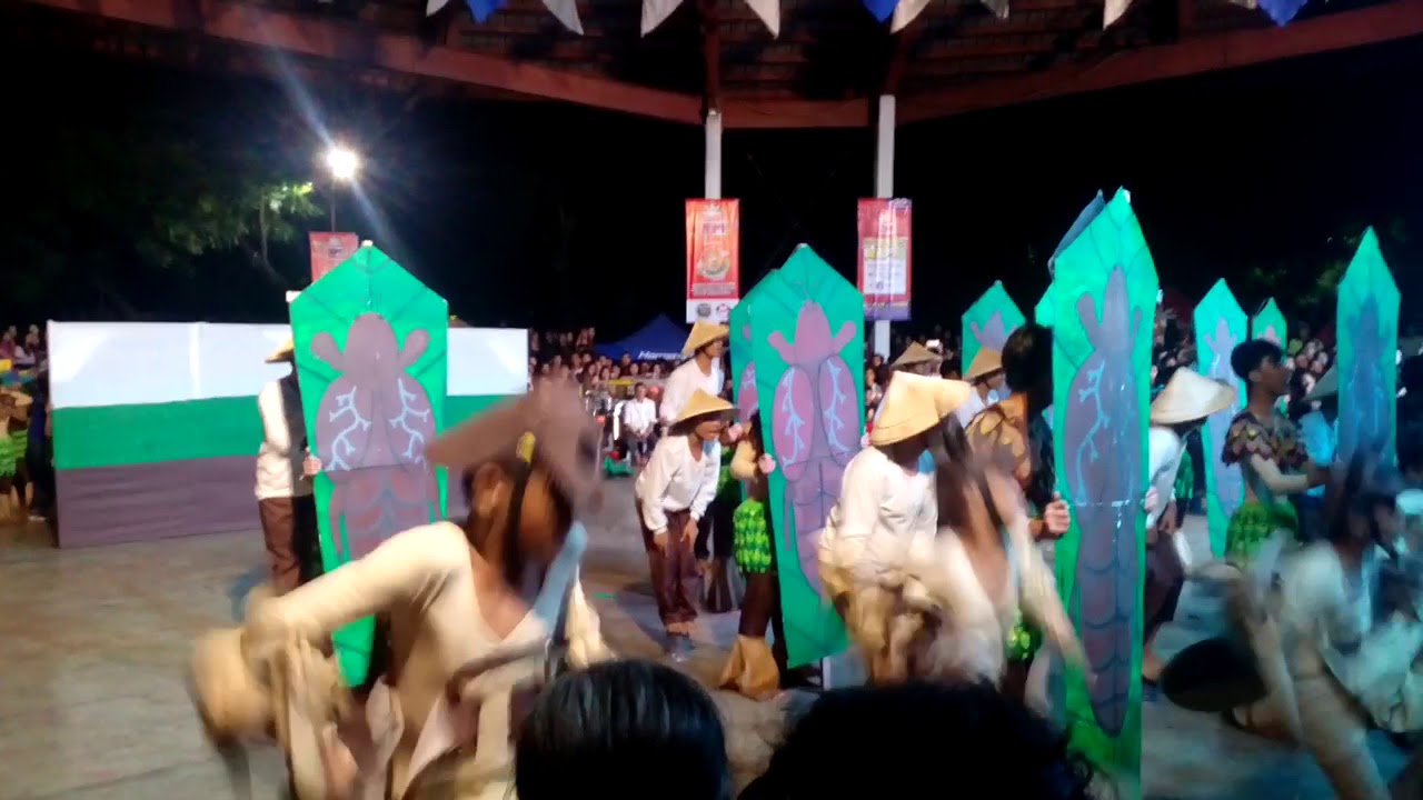 DNHS FREE DANCE CAMARU FESTIVAL!