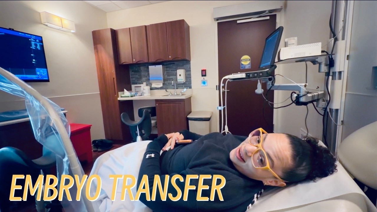 Day In The Life | Embryo Transfer | The Perteets